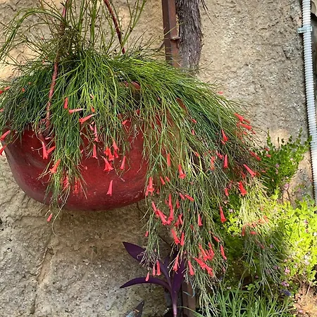 By The Sea Krk - 21632 Apartman Krk Town